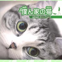 写真集『僕ん家の猫』