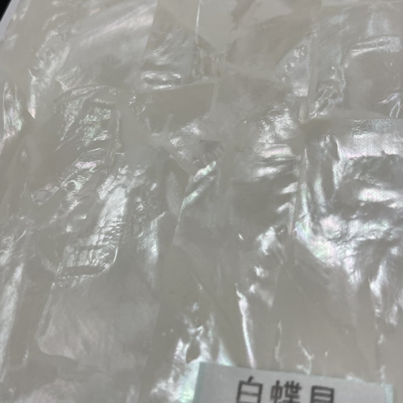 アワビシート 大判 白蝶貝／ナチュラル | awabihonpo's STORE