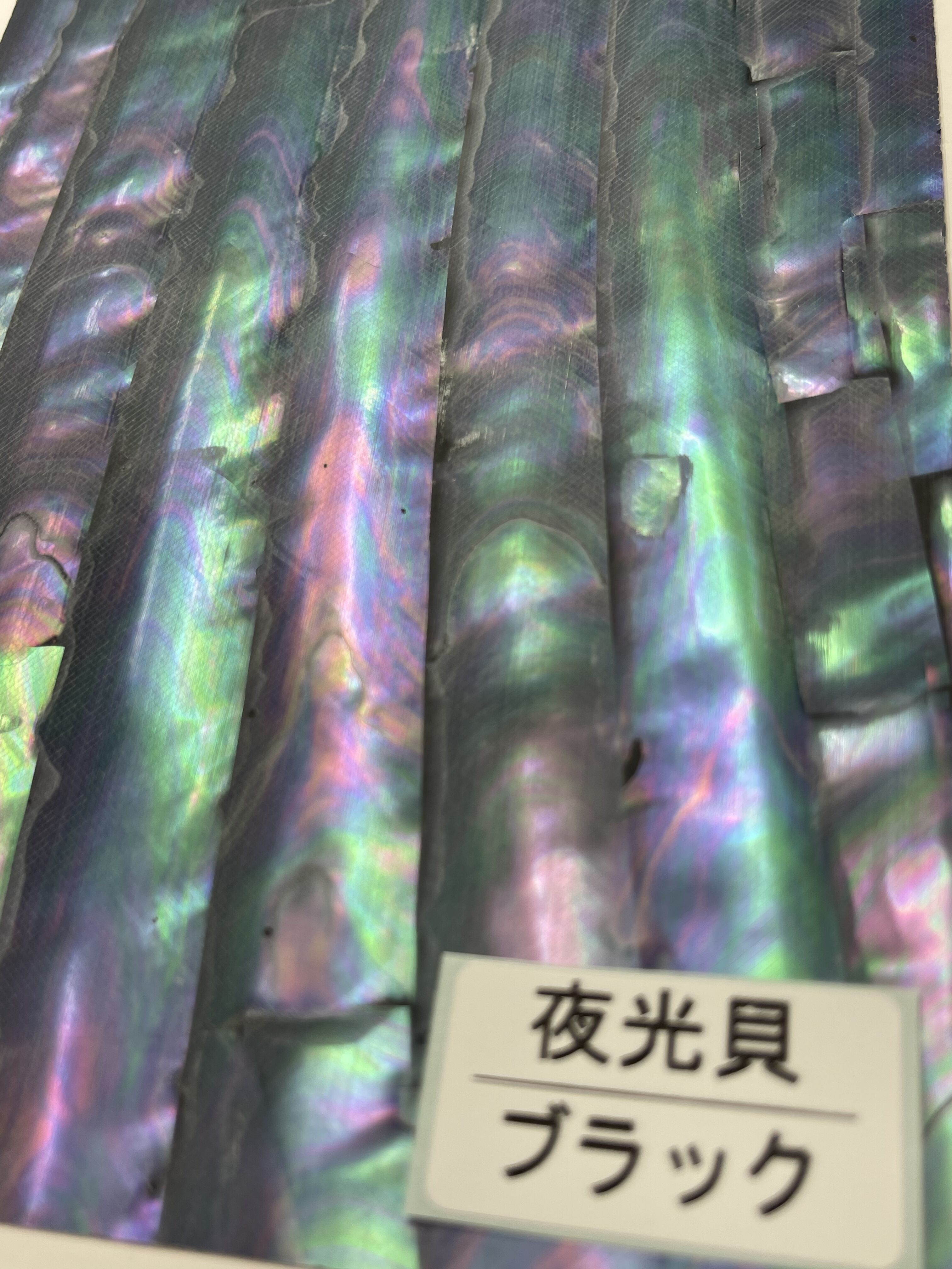 アワビシート 大判 夜光貝／ブラック | awabihonpo's STORE