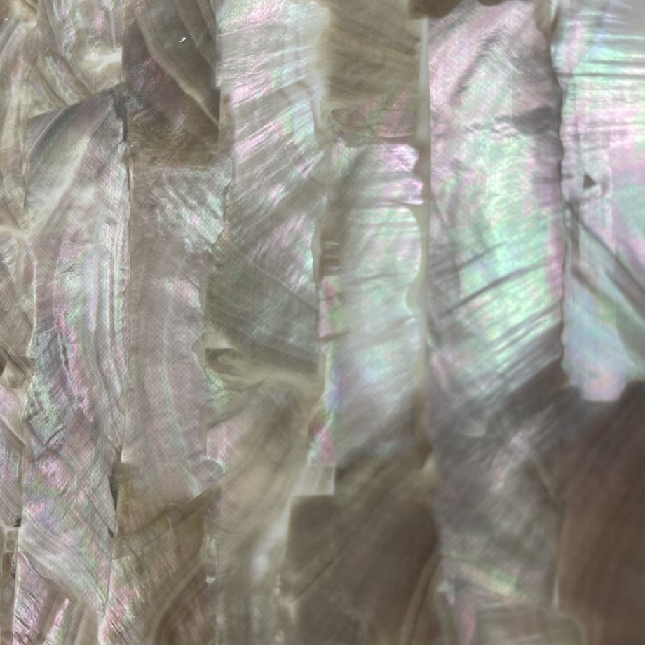 6460887f85e363007e7e9b7d
