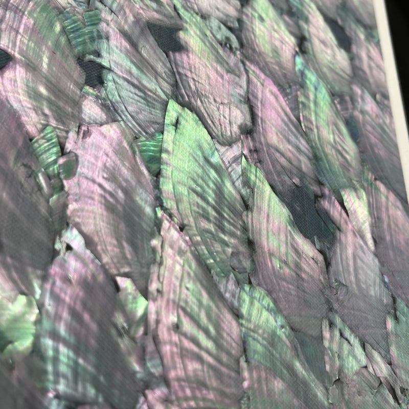 アワビシート 中判 南洋貝／ブラック | awabihonpo's STORE