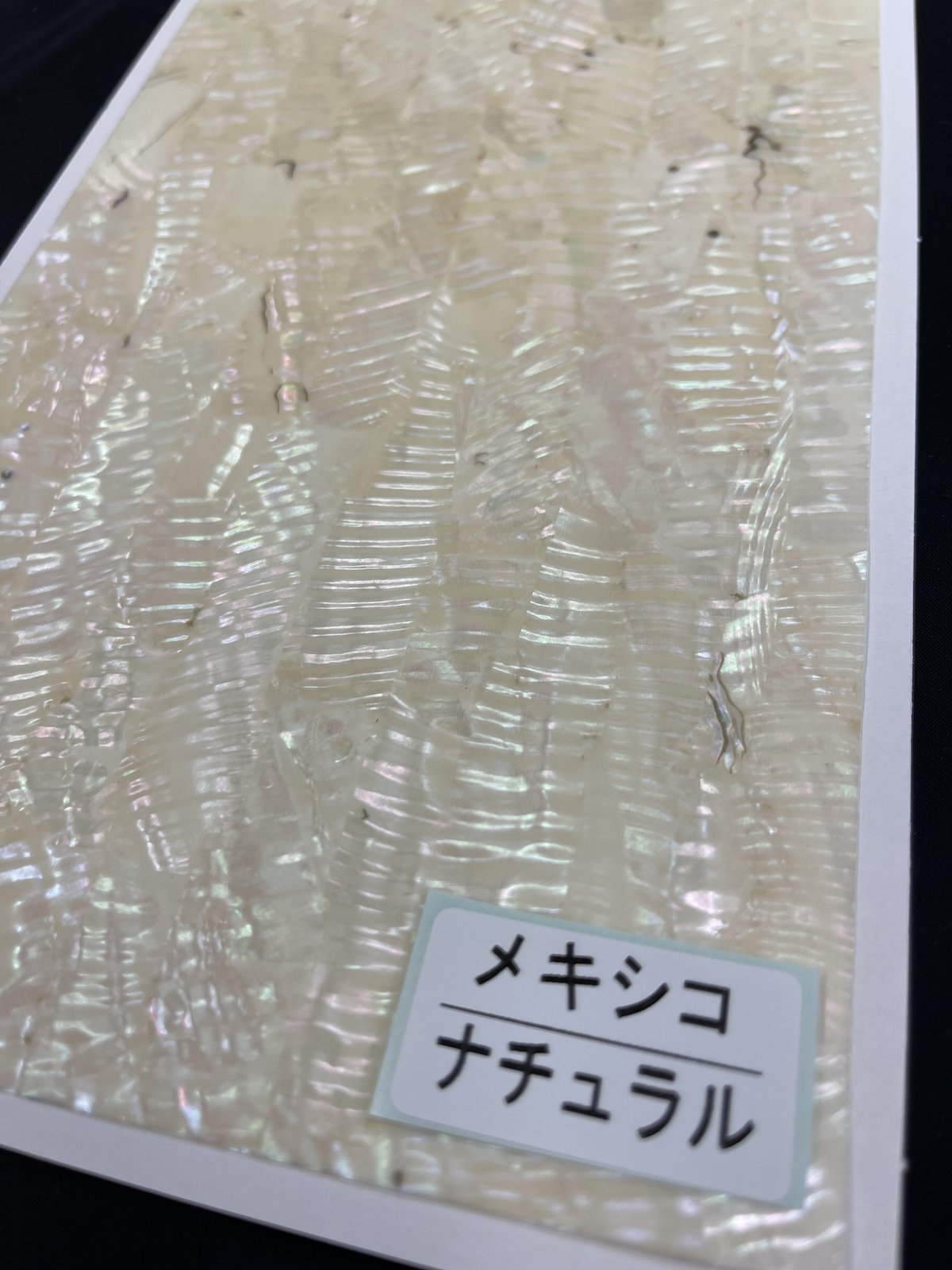 アワビシート　10枚セット　メキシコブラック アワビシート10枚セットメキシコブラック