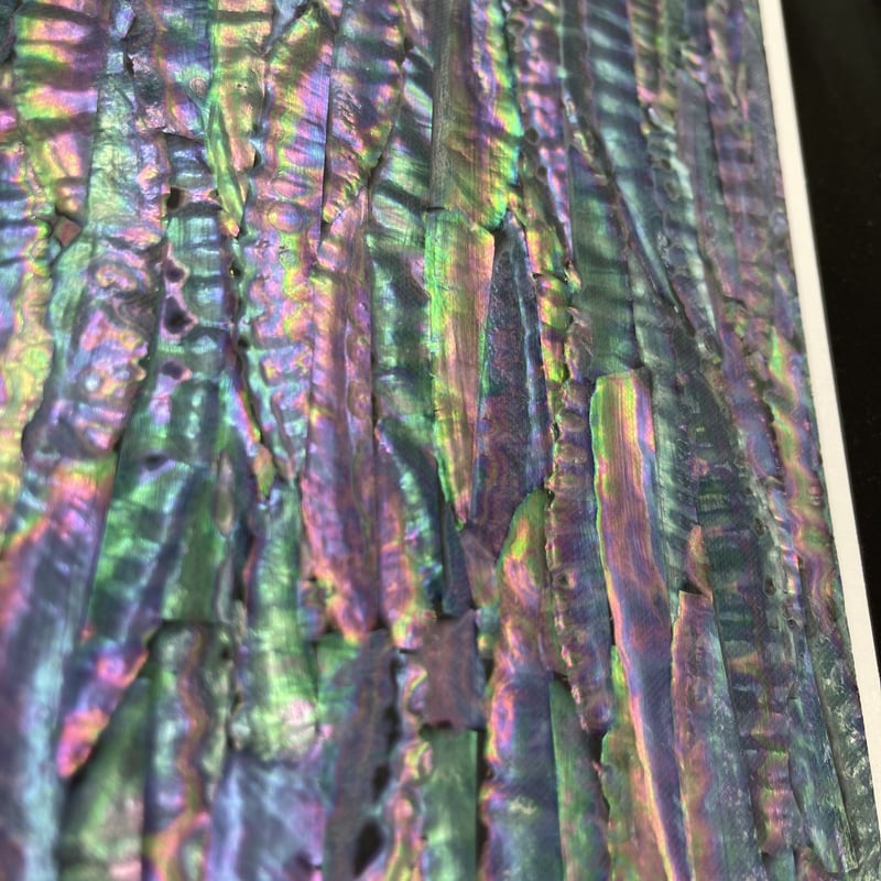 アワビシート 大判 台湾／ブラック | awabihonpo's STORE