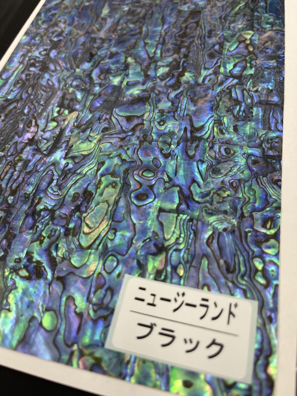 アワビシート 大判 ニュージーランド／ブラック （青味強め