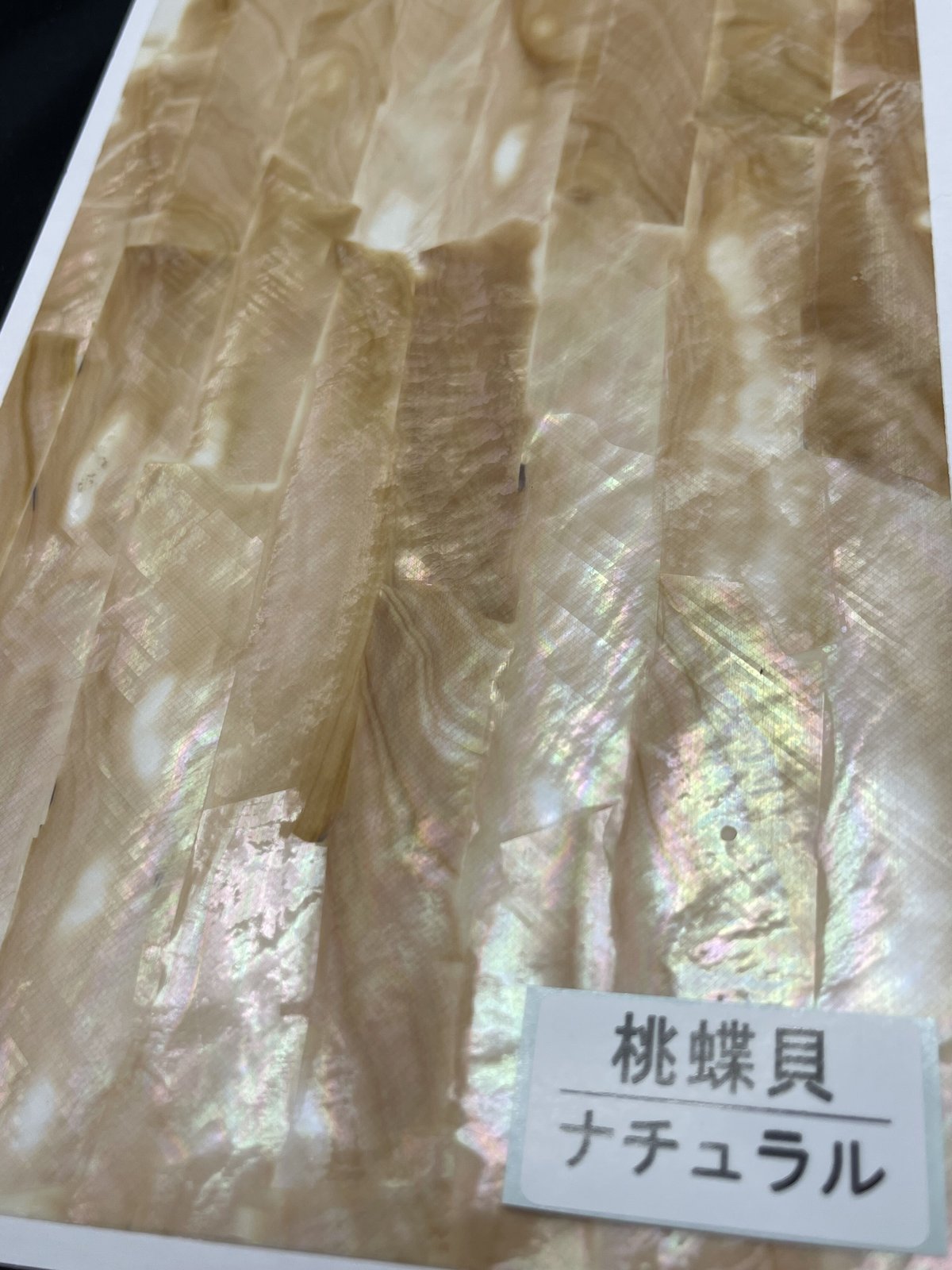 アワビシート 大判 桃蝶貝／ナチュラル | awabihonpo's STORE