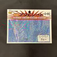 アワビシート 中判 台湾／ブラック | awabihonpo's STORE