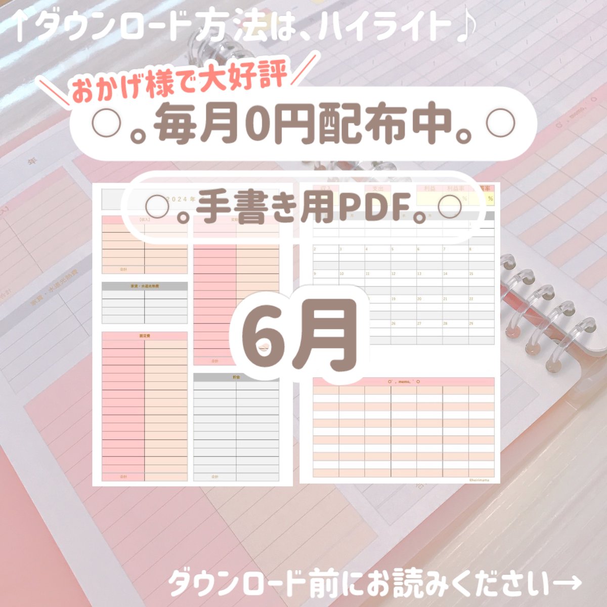 【手書き派様用 家計簿】6月経理ママの家計簿