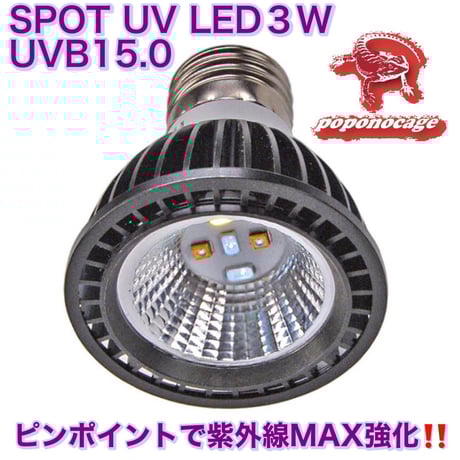 ポポのケージ | STORES