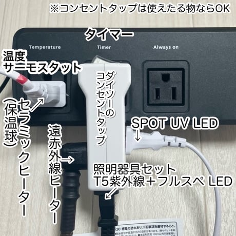 ☆フトアゴ 飼育フルセット