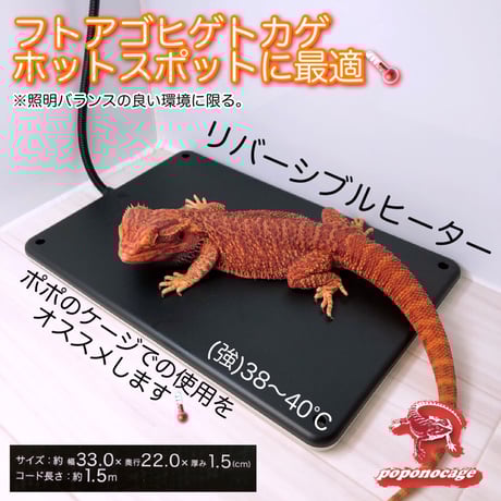 ポポの爬虫類ゲージ 再】しーぽぽさまアクリル製飼育ケージ