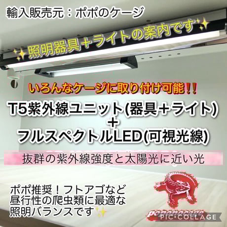 ◉〈昼行性爬虫類用照明器具セット〉（強度MAX紫外線ライト+強力可視光線ライト）