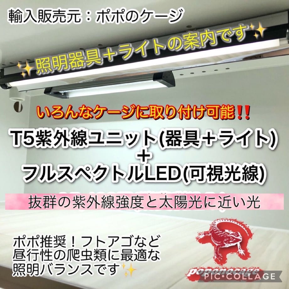 6452048e835a670079c963f2