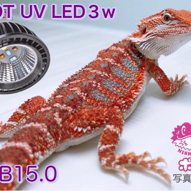 テラスカイUVスライド10W GEX エキゾテラ UV LEDランプ 販売 通販 GEX