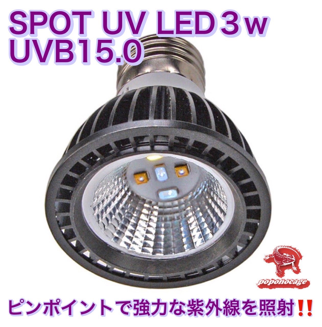 ◎フトアゴ飼育セット | ポポのケージ