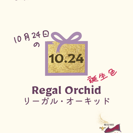 【10/24】月暦 x 誕生色 x 魔法の絨毯 ムーンカレンダー