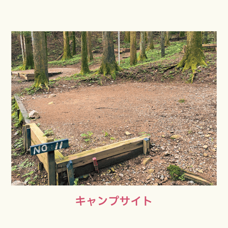 【22日】キャンプチケット