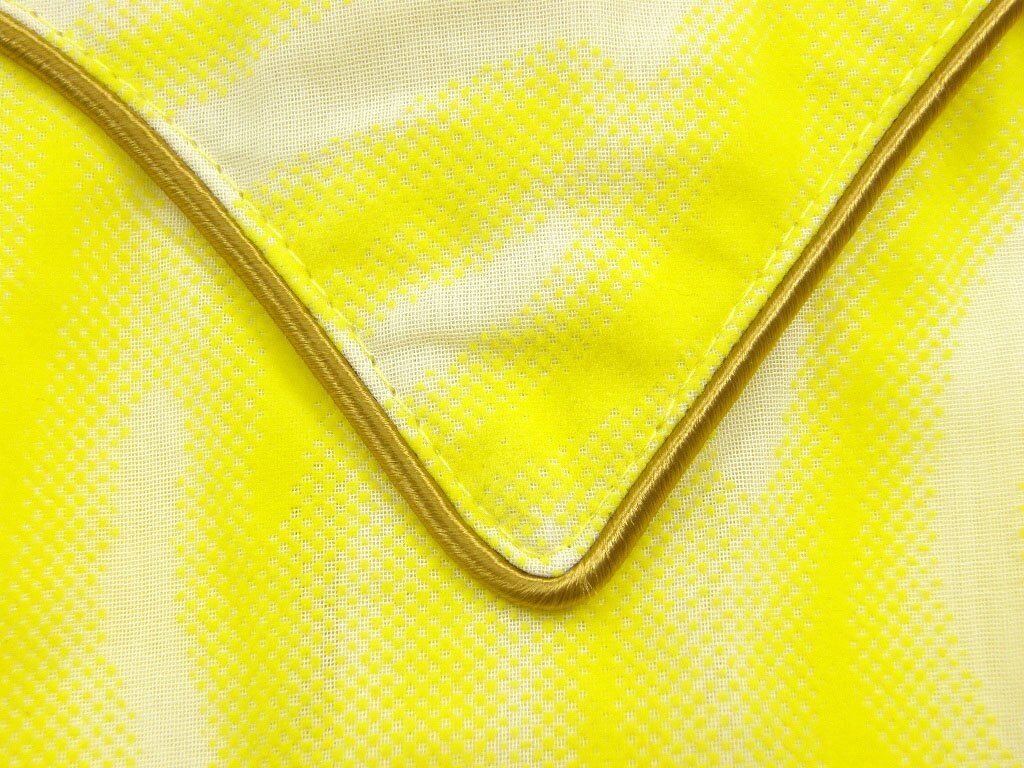 MASU ／ エムエーエスユー 長袖シャツ SEE-THROUGH WESTERN SHIRT