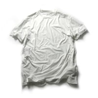 POSTELEGANT ／ ポステレガント　ライトコットン Tシャツ 日本製 白T ホワイト ｜ オールシーズン　（No.370948）