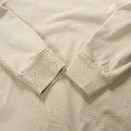 REIGNING CHAMP ／ レイニングチャンプ　ロンT カナダ製 MIDWEIGHT TERRY ロングスリーブカットソー ｜ オールシーズン　（No.370889）