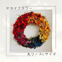 ドライフラワークレッセントリース | Felicia-fleur STORE