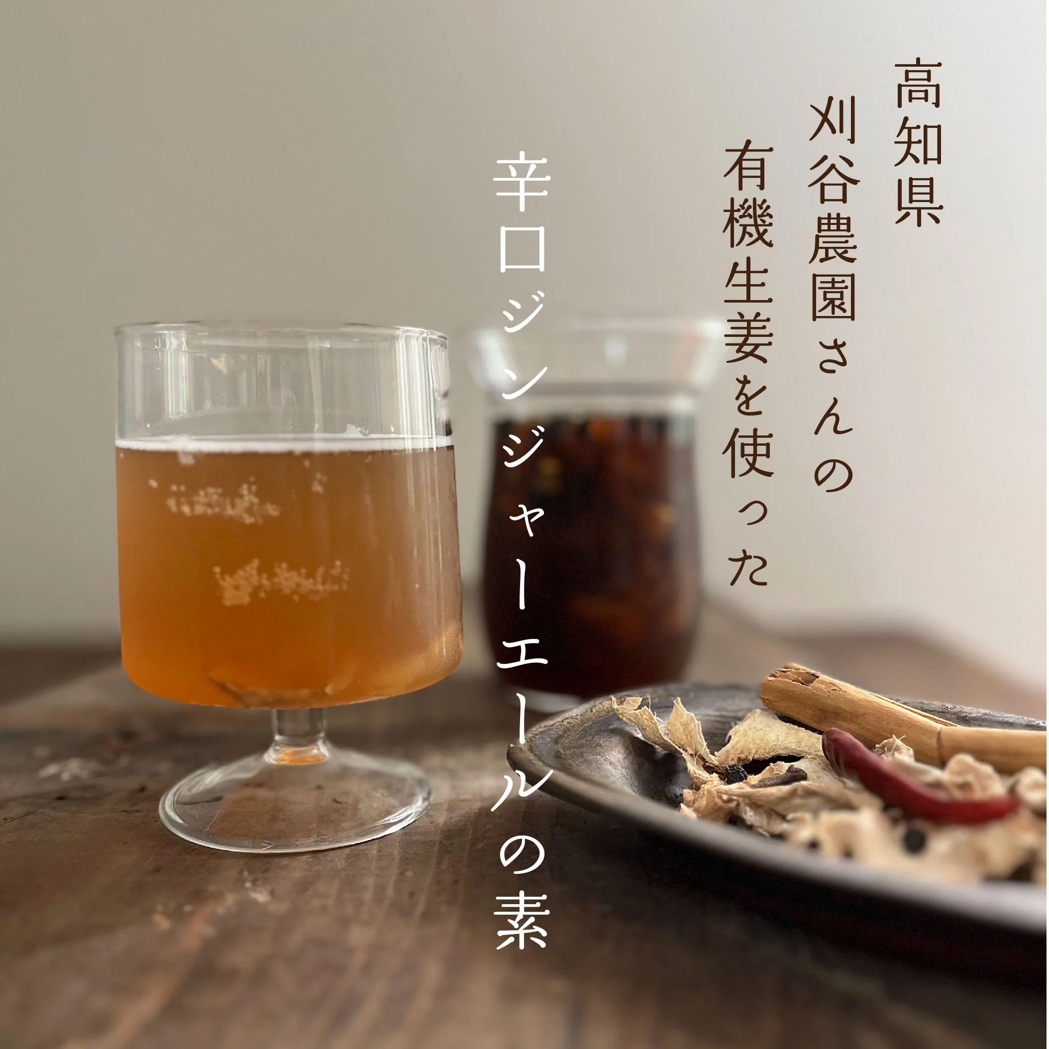 高知県産有機生姜を使った辛口ジンジャーエールの素 | 日々のスパイス