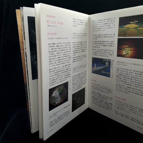 菅かおる作品集「Origin」