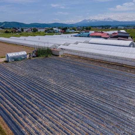 東川町産ローズマリーで作った世界初のビネガー