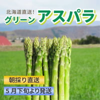 北海道直送 朝採りグリーンアスパラ【送料無料】
