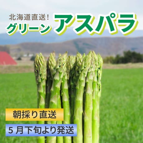 北海道直送 朝採りグリーンアスパラ【送料無料】