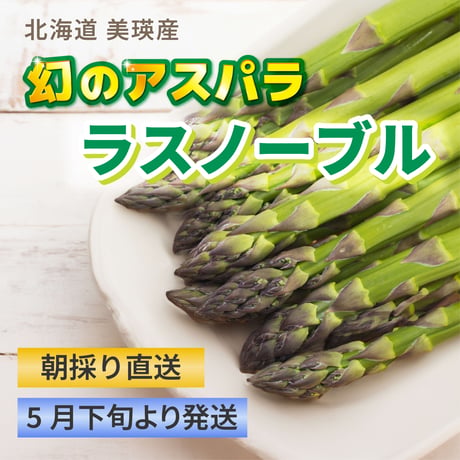 【幻のアスパラ】　北海道美瑛産ラスノーブル【送料無料】