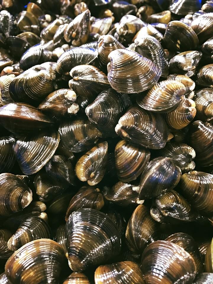 琵琶湖産 冷凍しじみ 1kg | 赤こんにゃく・鮒寿司を通販でお届け｜滋賀