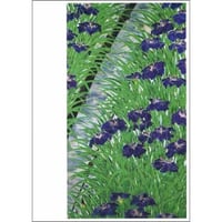 歌川広重 名所江戸百景〉堀切の花菖蒲神の森真崎 | Iris Lab