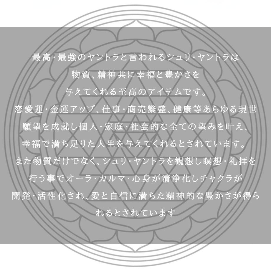 65659b113e68ea0033eff9ca