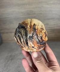 泥縄鉢・赤銅：寅24