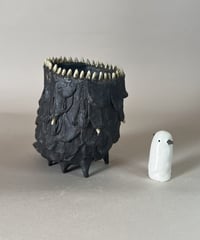 幼獣鉢・泥牙：蜂10