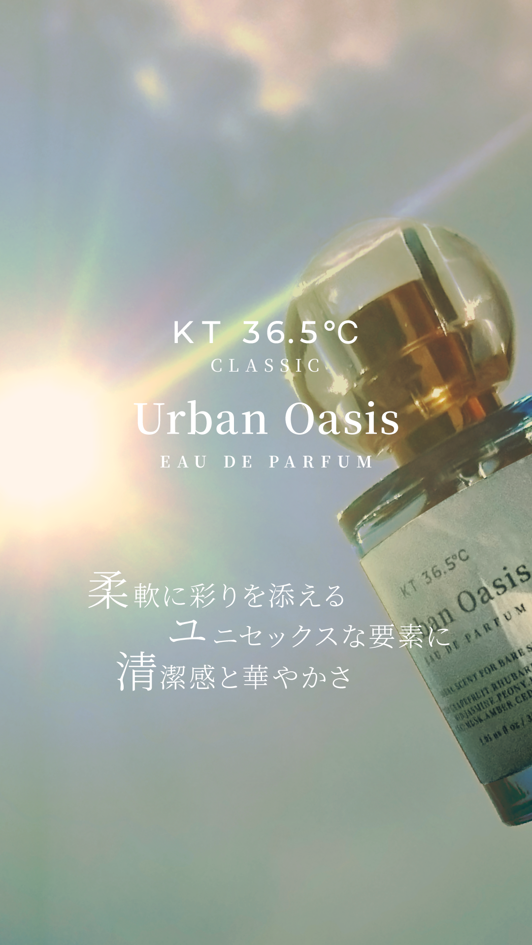 Urban Oasis | KT36.5℃