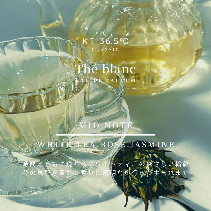 Thé blanc | KT36.5℃