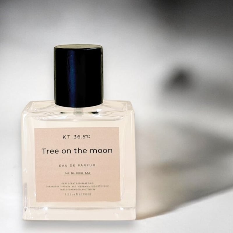 Tree on the moon | KT36.5℃