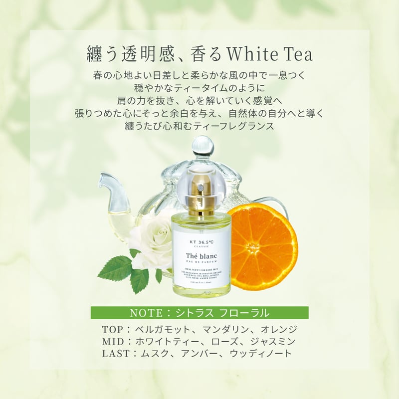 Thé blanc | KT36.5℃