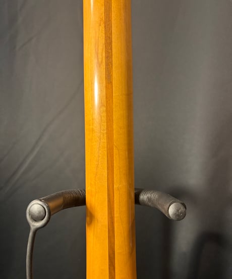 Fender Mexico TORONAD