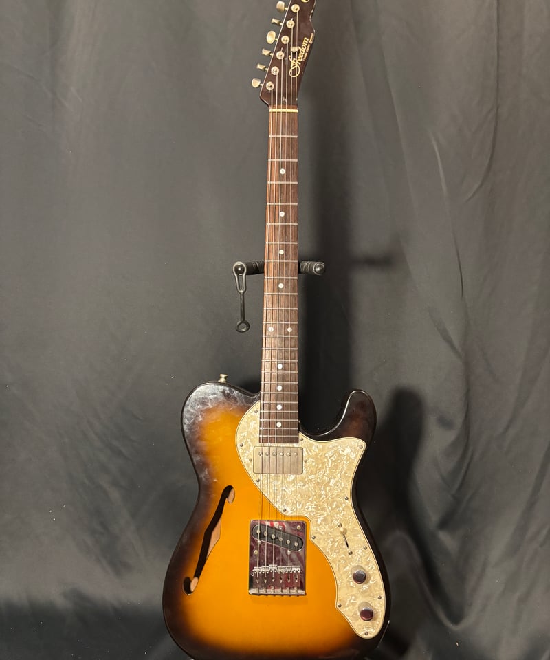 FREEDOM CUSTOM GUITAR RESEARCH Black Pepper 20