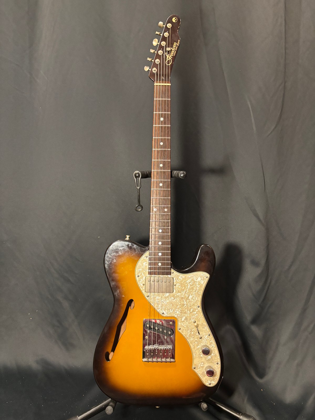 FREEDOM CUSTOM GUITAR RESEARCH Black Pepper 20