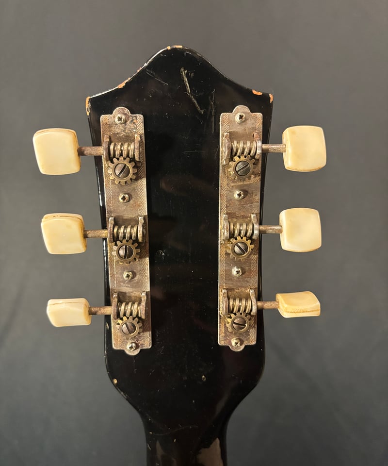 Teisco EP-2L | ギター屋funk ojisan