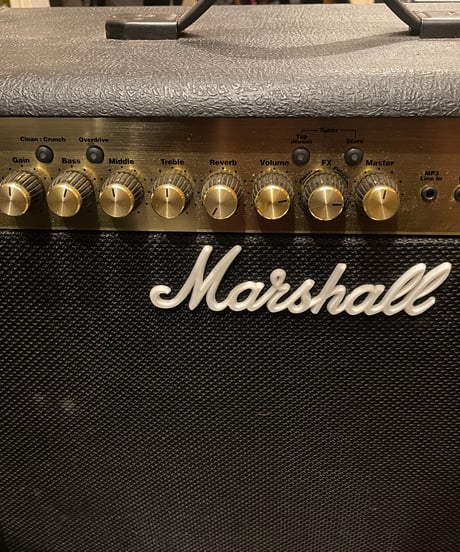 Marshall MG30FX