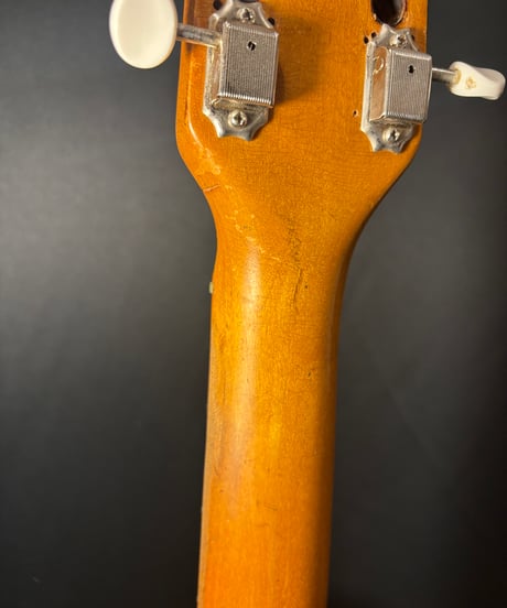 Fender '66 Electric XII Neck Component Tele-Gib "No.26"