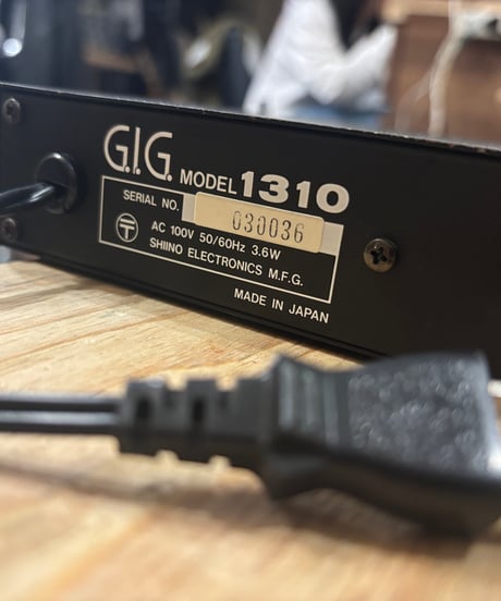 G.I.G 1310