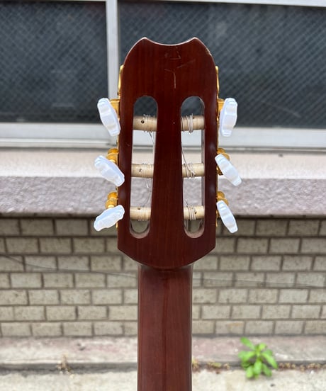 YAMAHA APX-5NA