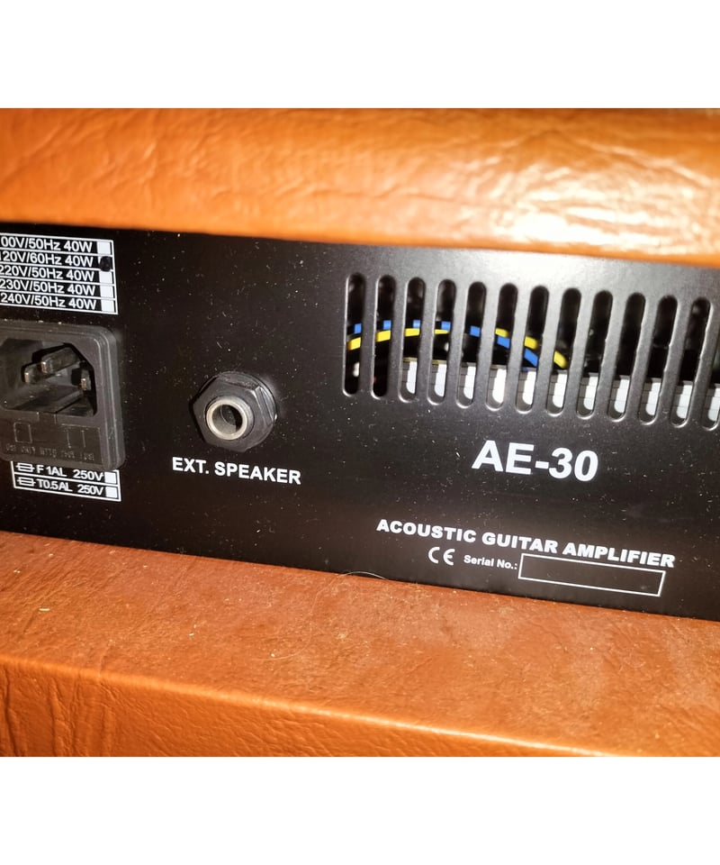 AAC AE-30 | ギター屋funk ojisan