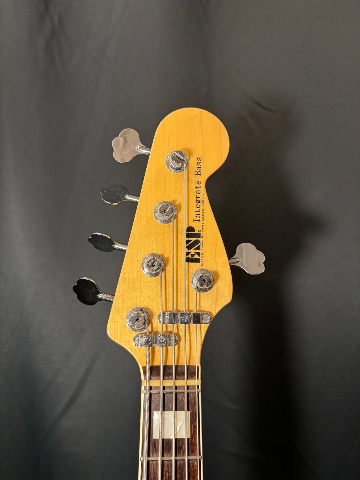 ◆Bass☆プロフ必見◆ Popmax SP-C Respect Series | Berkshire Bass