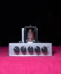 【予約販売】　APARTMENT AMP